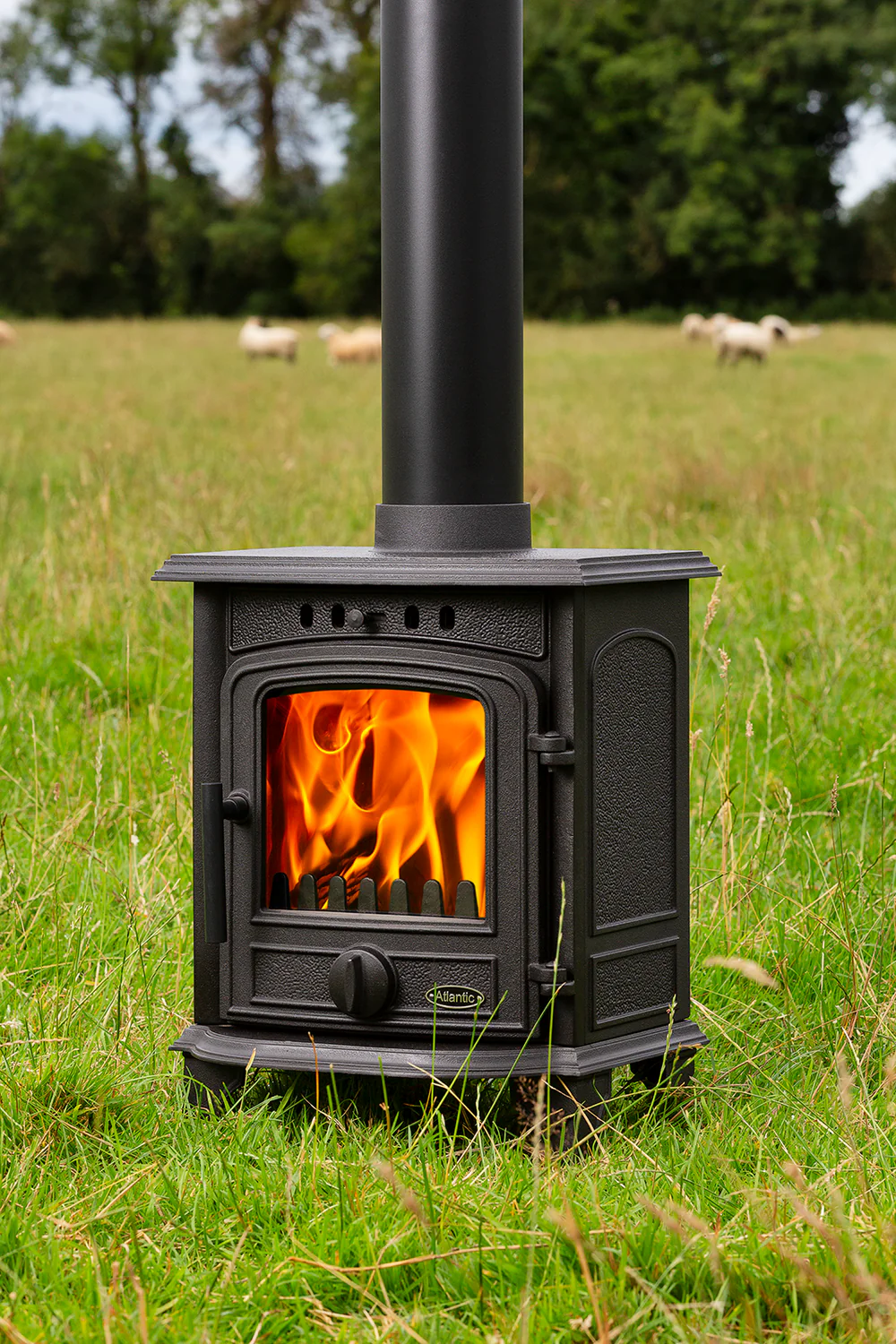 Atlantic Coral Multi Fuel Stove